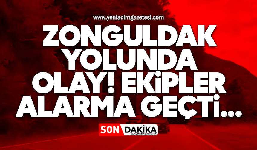 Zonguldak yolunda olay! Ekipler alarma geçti...
