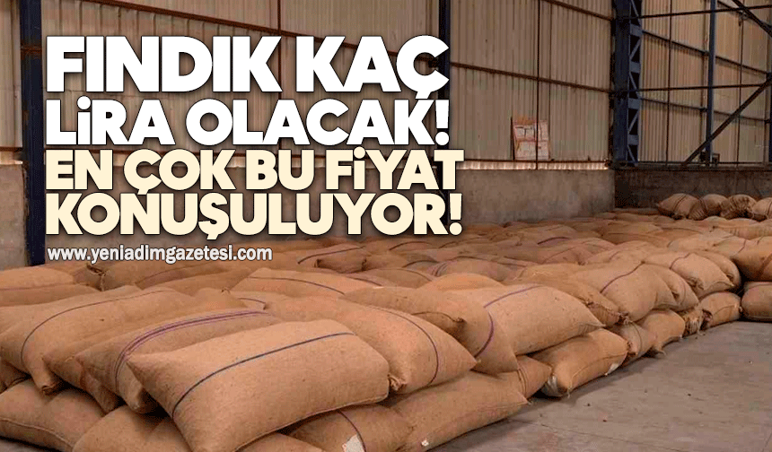 Fındık kaç lira olacak! En çok bu fiyat konuşuluyor!