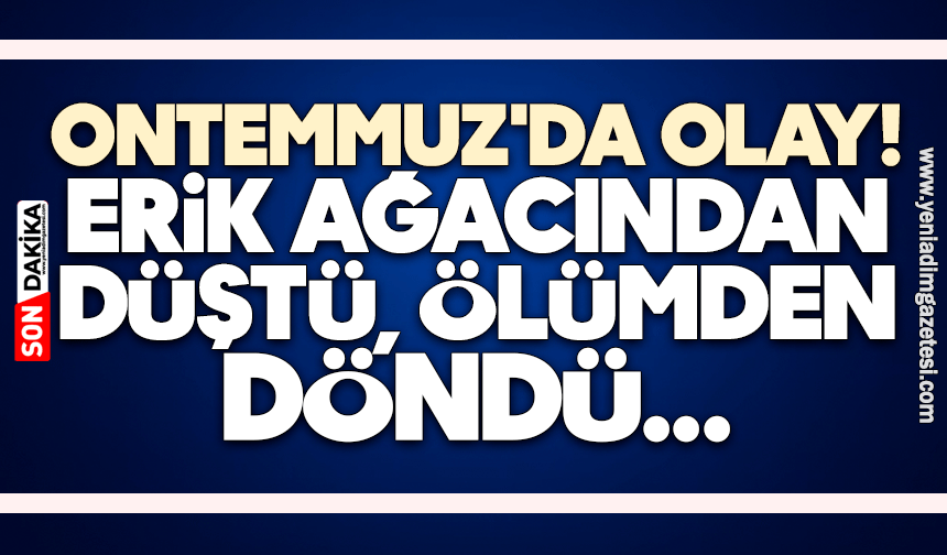Ontemmuz'da olay: Erik ağacından düştü, ölümden döndü...
