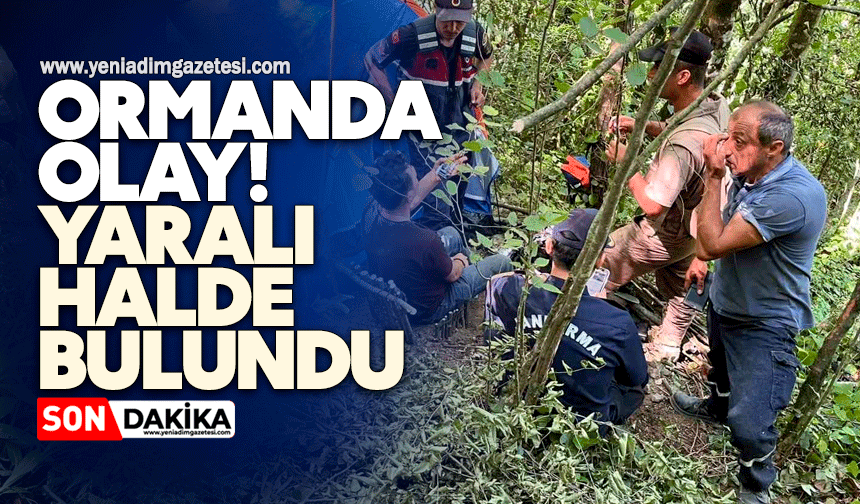 Ormanda olay! Yaralı halde bulundu
