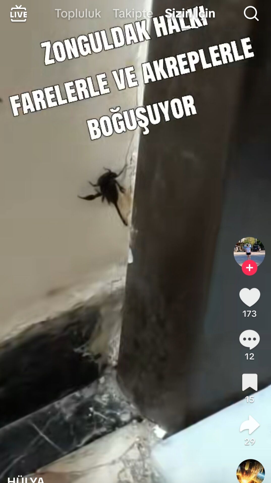 Screenshot 20260713 025236 Tik Tok