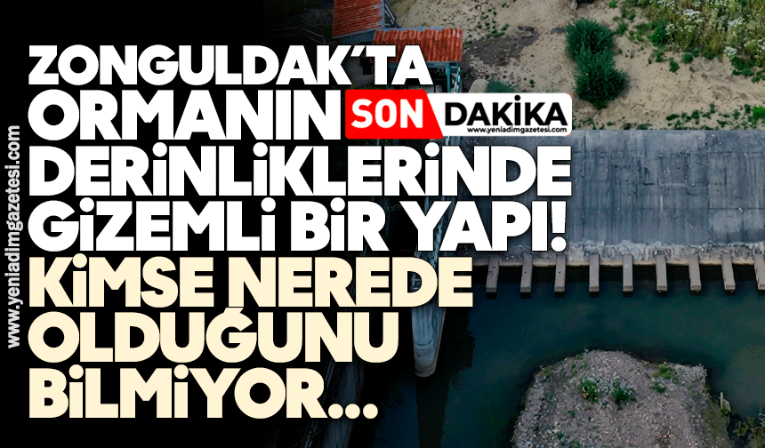 Zonguldak’ta ormanın derinliklerinde gizemli bir yapı! Kimse nerede olduğunu bilmiyor