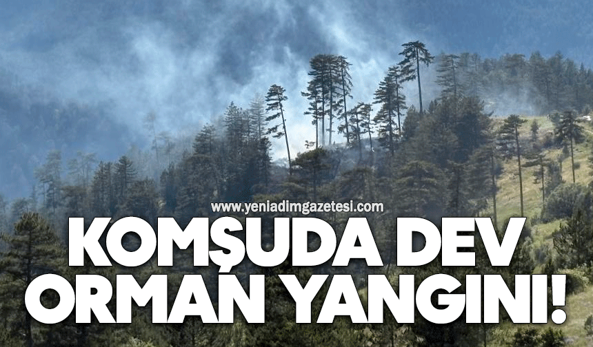 Komşuda dev orman yangını!
