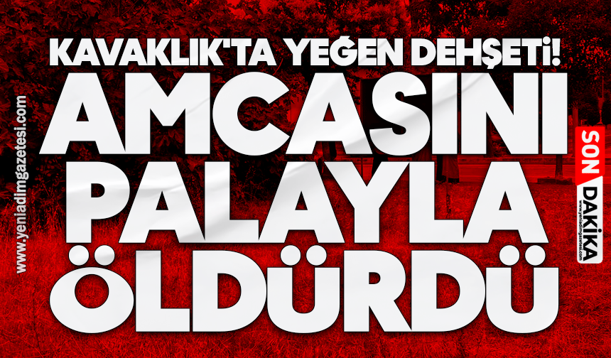 Kavaklık'ta yeğen dehşeti! Amcasını palayla öldürdü