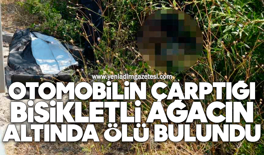 Otomobilin çarptığı bisikletli ağacın altında ölü bulundu