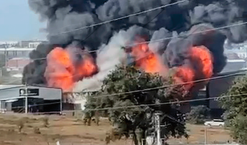 Gebze'de yangın