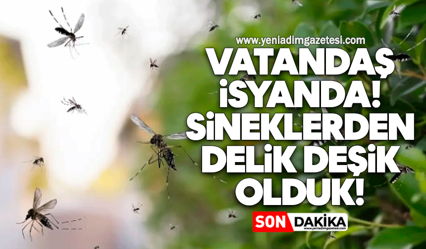 Vatandaş isyanda: Sineklerden delik deşik olduk!