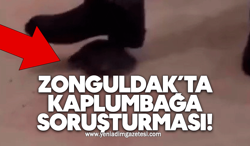 Kaplumbağayı ayağıyla ezen şüpheli gözaltına alındı