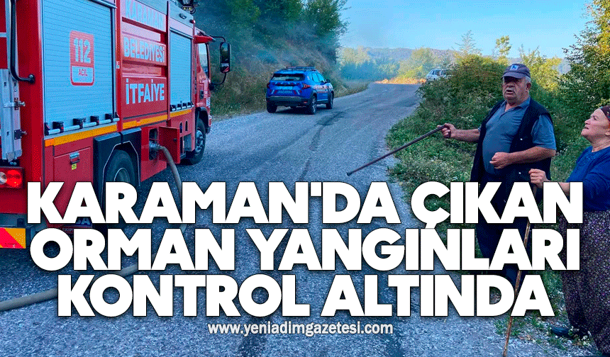 Karaman'da çıkan orman yangınları kontrol altına alındı