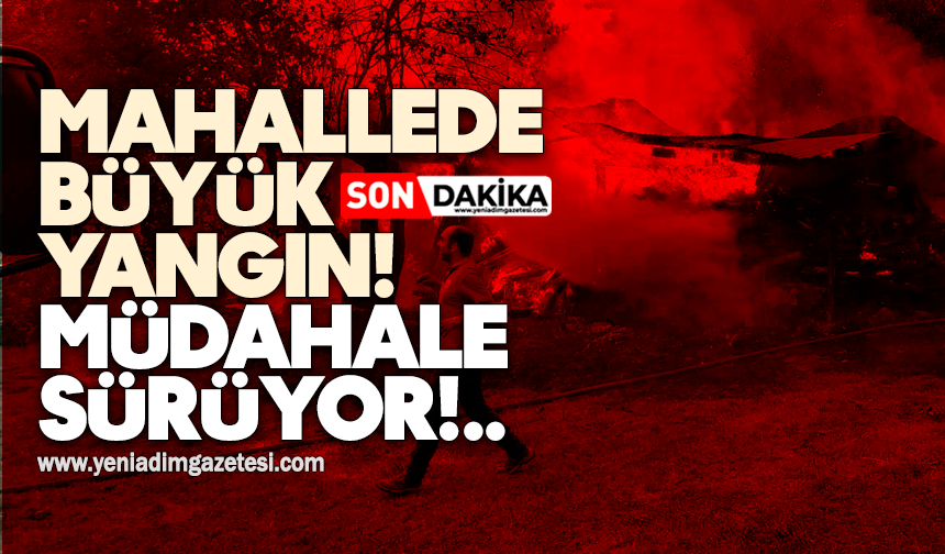 Mahallede büyük yangın! Müdahale sürüyor