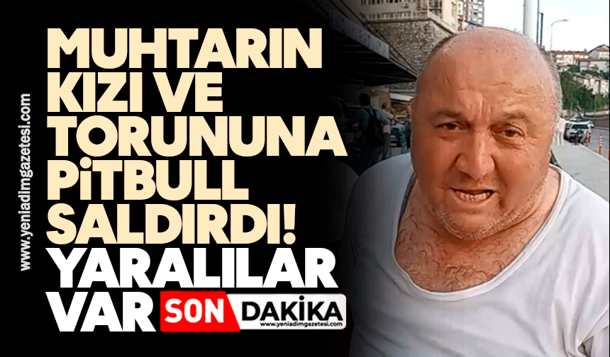 Muhtarın kızı ve torununa Pitbull saldırdı: Yaralılar var