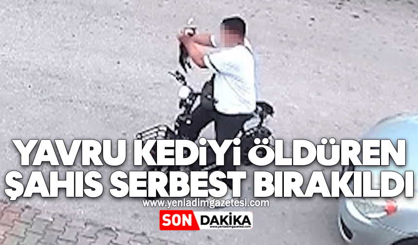 Yavru kediyi öldüren şahıs serbest bırakıldı