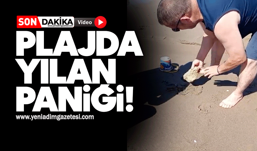Plajda yılan paniği!