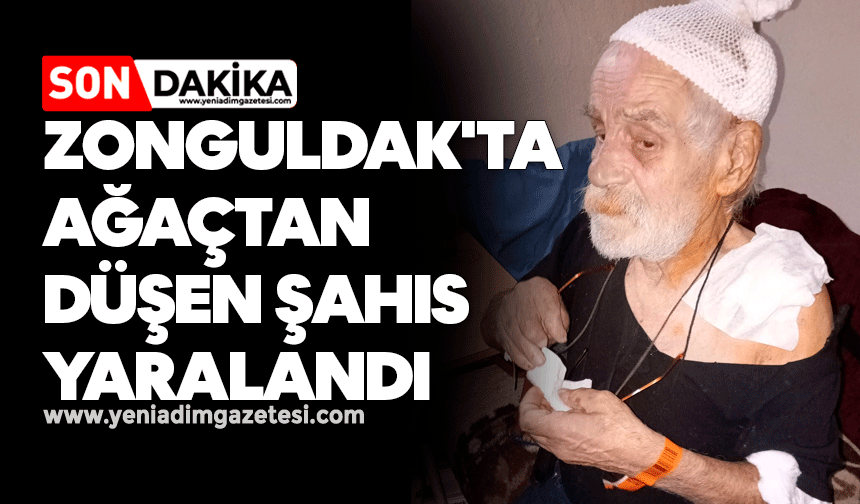 Zonguldak'ta ağaçtan düşen şahıs yaralandı
