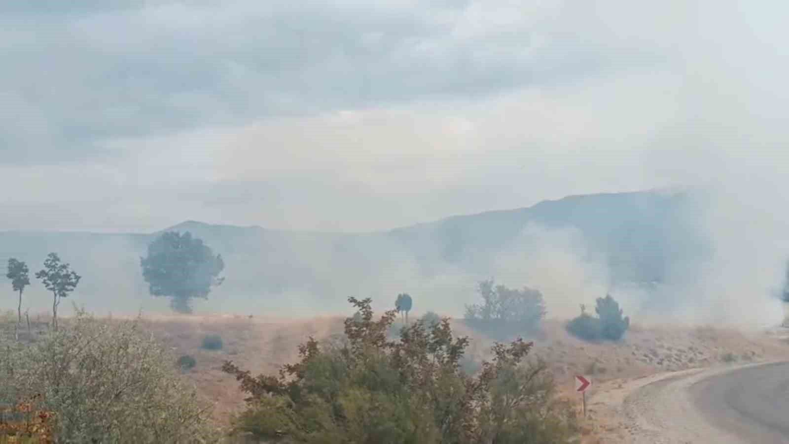 Bolu'da arazi yangını ormanlık alana ulaşmadan söndürüldü