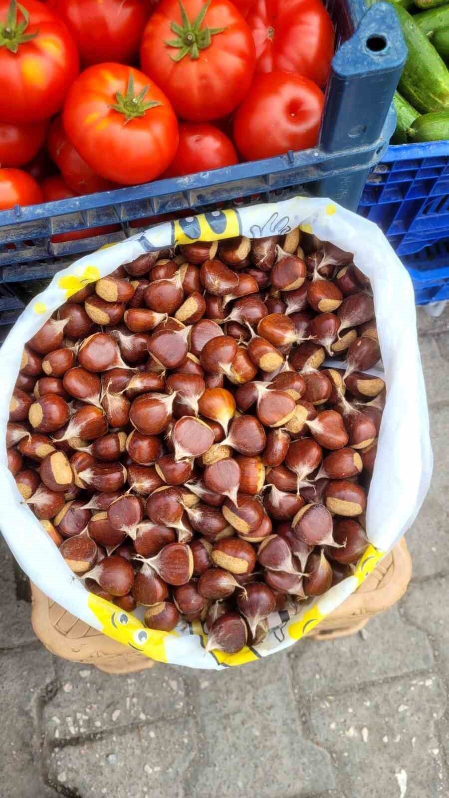 İnebolu'da kestane pazara indi: Kilogramı 400 liradan satılıyor
