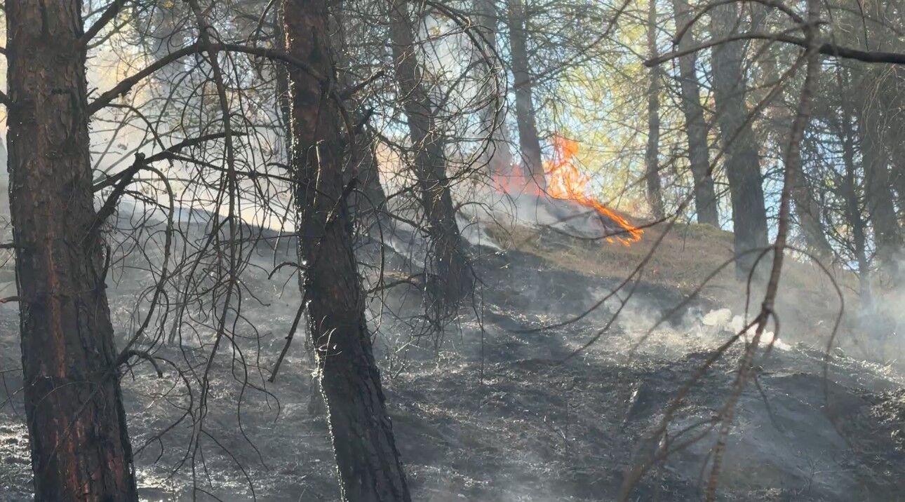 Karabük'te ormanlık alanda çıkan örtü yangını söndürüldü