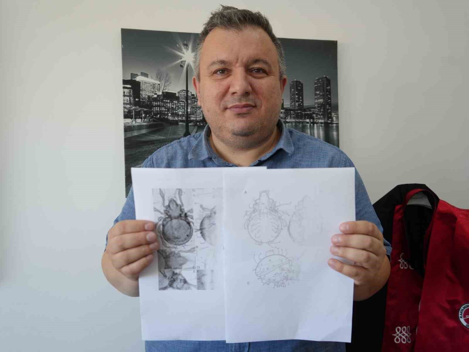 Kastamonu'da tespit edilen yeni akar türü bilim literatürüne kazandırıldı