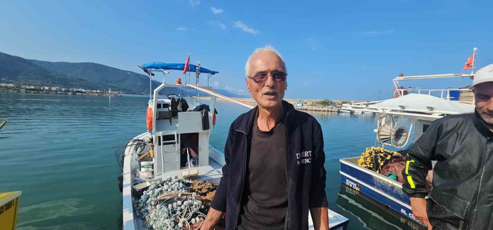 Palamut bolluğu: Tanesi 75 TL'ye satılıyor