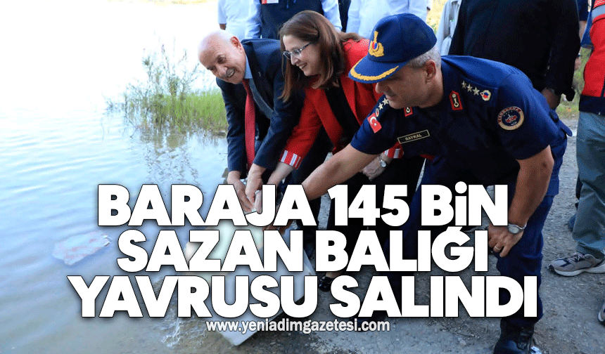 Baraja 145 bin Sazan Balığı yavrusu salındı