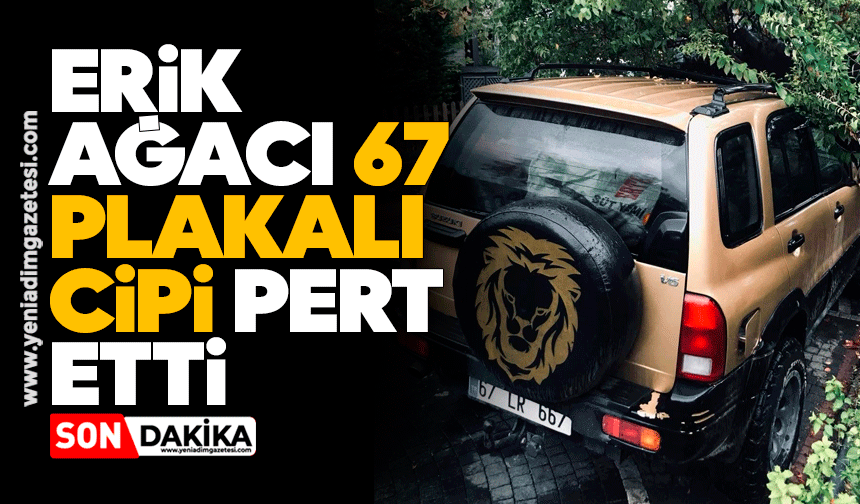 Erik ağacı 67 plakalı cipi pert etti