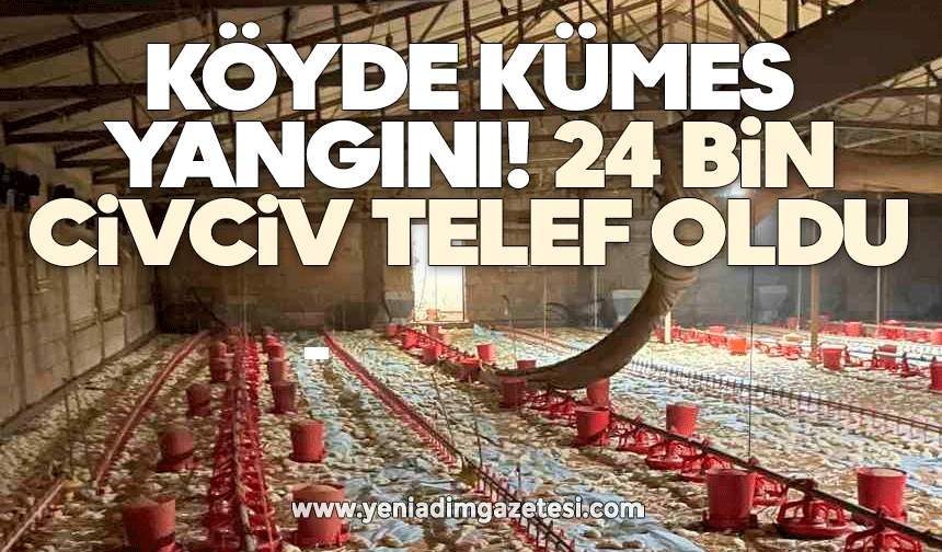 Köyde kümes yangını: 24 bin civciv telef oldu