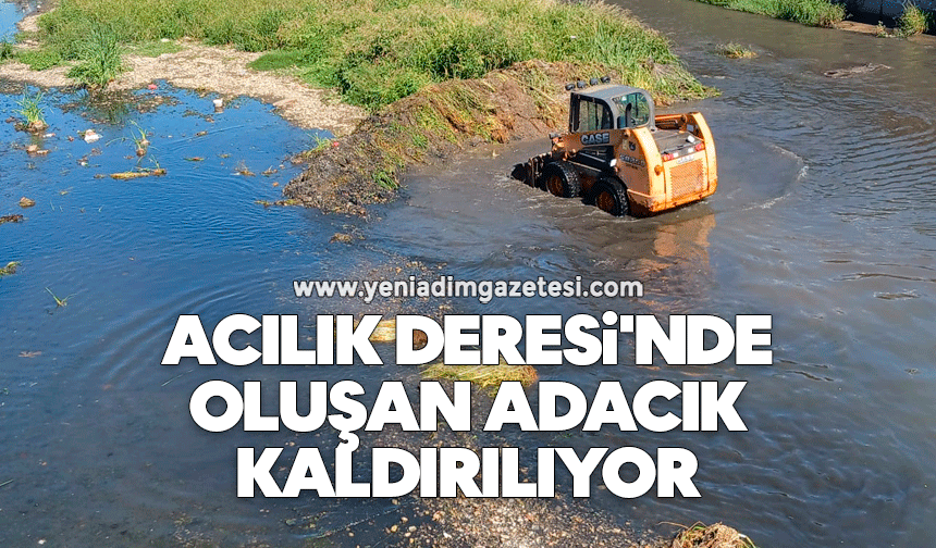 Acılık Deresi'nde oluşan adacık kaldırılıyor