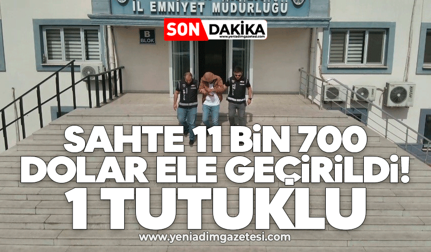 Sahte 11 bin 700 dolar ele geçirildi: 1 tutuklu