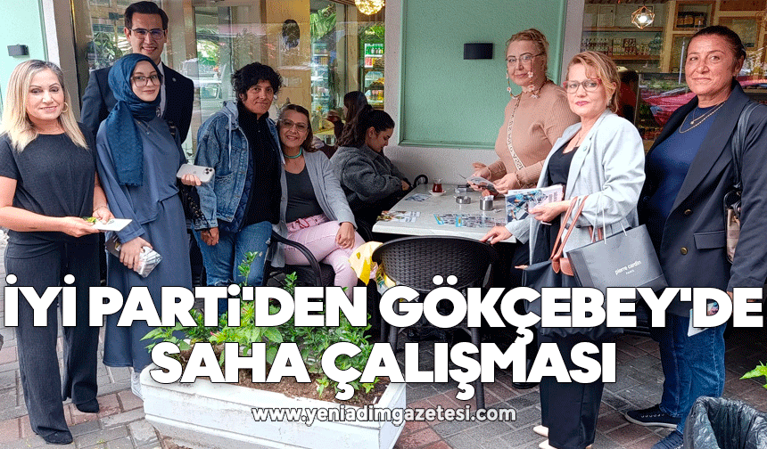 İYİ Parti'den Gökçebey'de saha çalışması