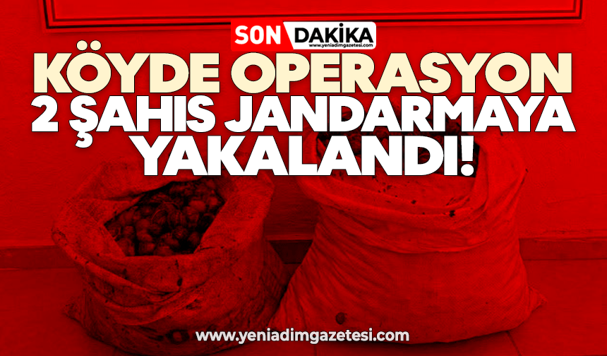 Köyde operasyon: 2 şahıs jandarmaya yakalandı