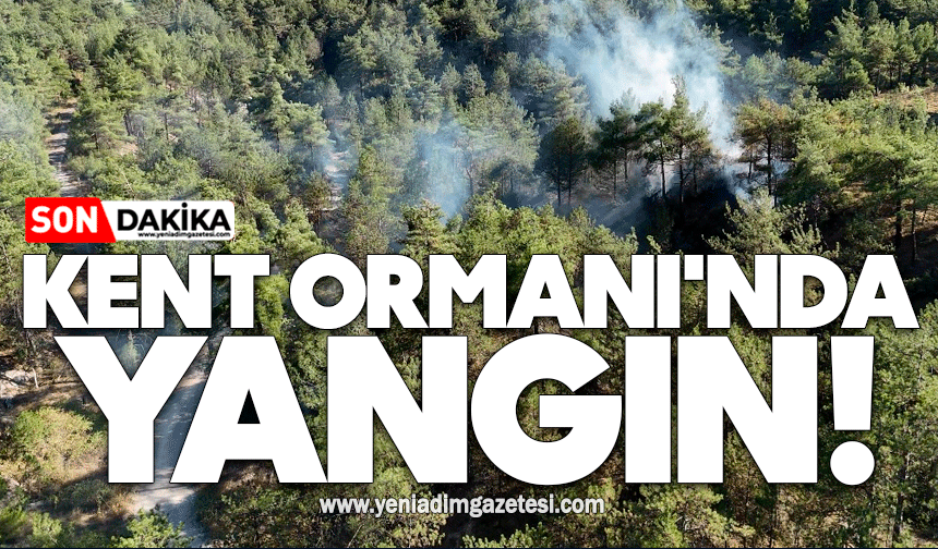 Kent Ormanı'nda yangın!