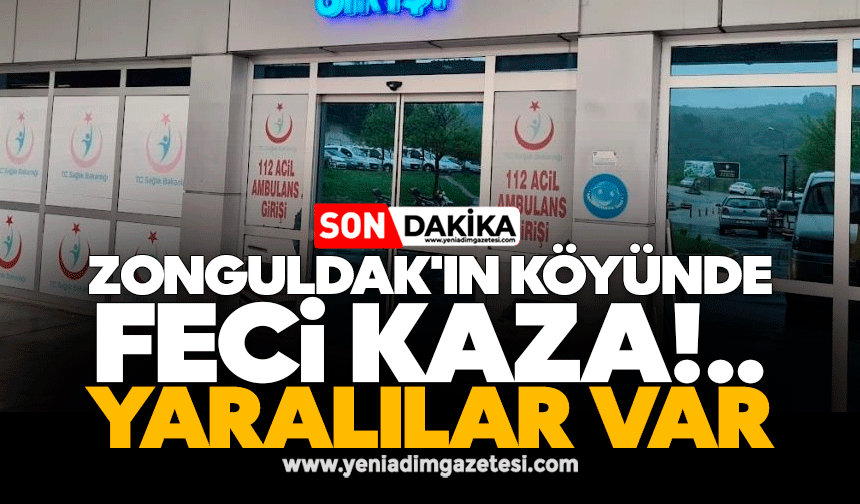 Zonguldak'ın köyünde feci kaza: Ağaçtan düştü, 2 kişi yaralandı