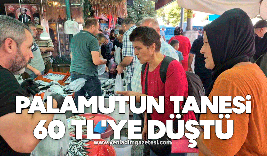 Palamutun tanesi 60 TL'ye düştü