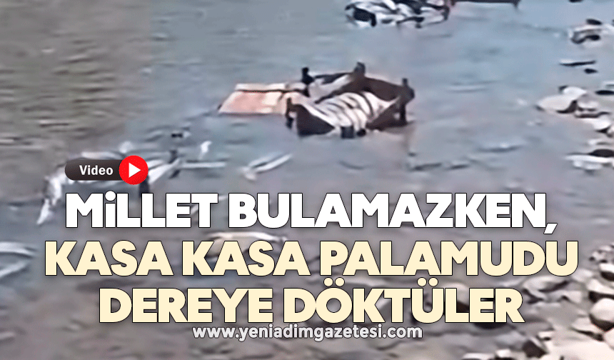 Millet bulamazken, kasa kasa palamudu dereye döktüler
