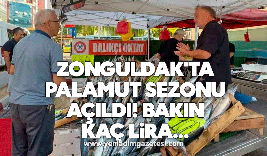 Zonguldak'ta palamut sezonu açıldı! Bakın kaç lira...