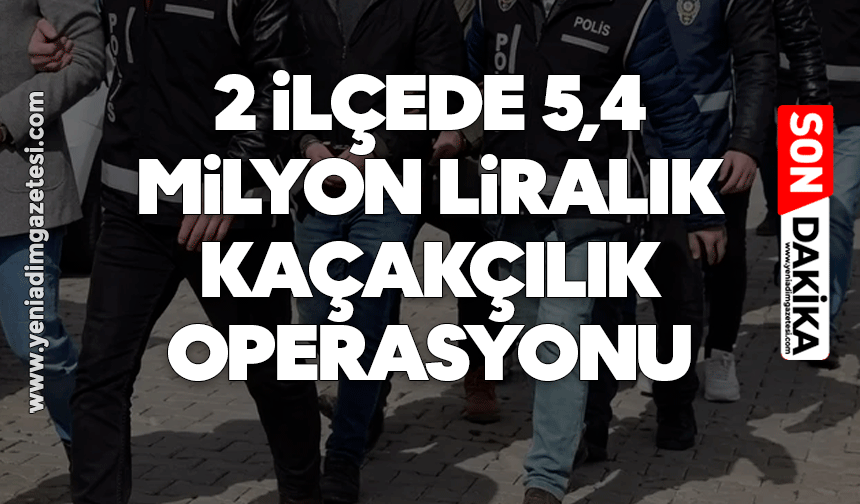 2 ilçede 5,4 milyon liralık kaçakçılık operasyonu