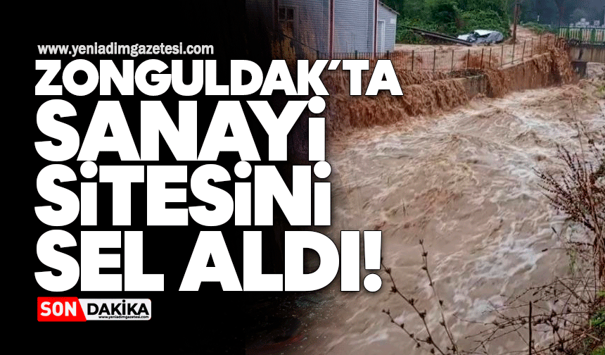 Zonguldak'ta sağanak sonrası dere taştı, sanayi sitesini su bastı