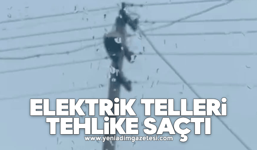 Elektrik telleri tehlike saçtı