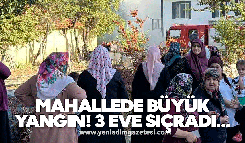 Otluk alanda çıkan yangın, 3 eve sıçradı