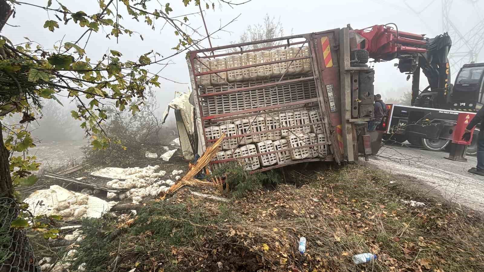 Virajı alamayan kamyon devrildi: Onlarca tavuk telef oldu