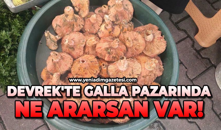 Devrek'te galla pazarında ne ararsan var!