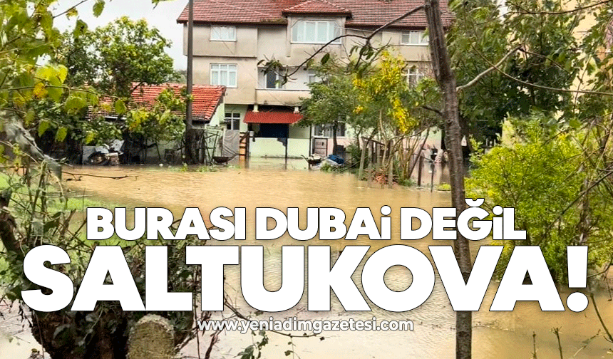 Burası Dubai değil Saltukova!