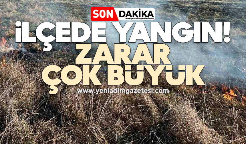 İlçede yangın! Zarar büyük