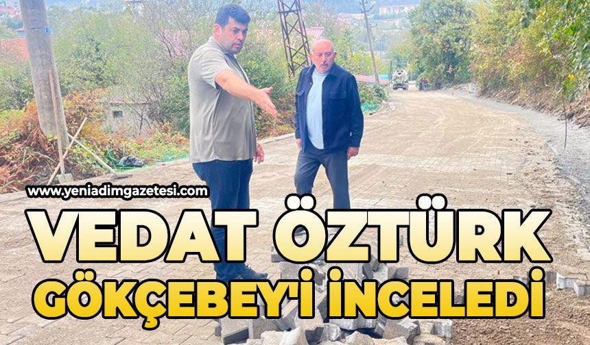 Vedat Öztürk Gökçebey'i inceledi