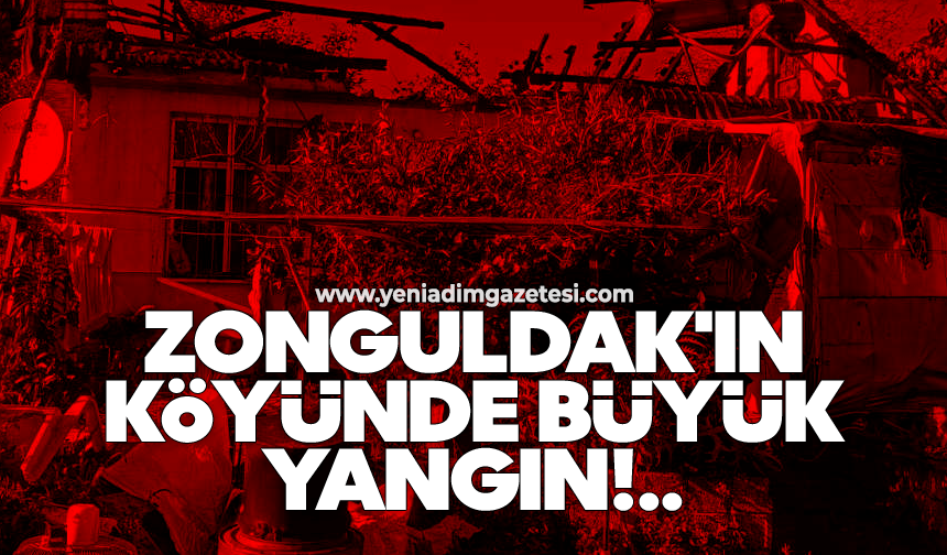 Zonguldak'ın köyünde büyük yangın!