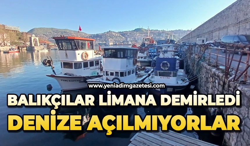 Balıkçılar limana demirledi: Denize açılmıyorlar